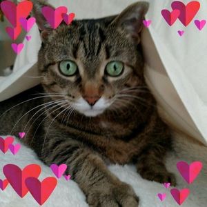 Meet your Posher, Sheri